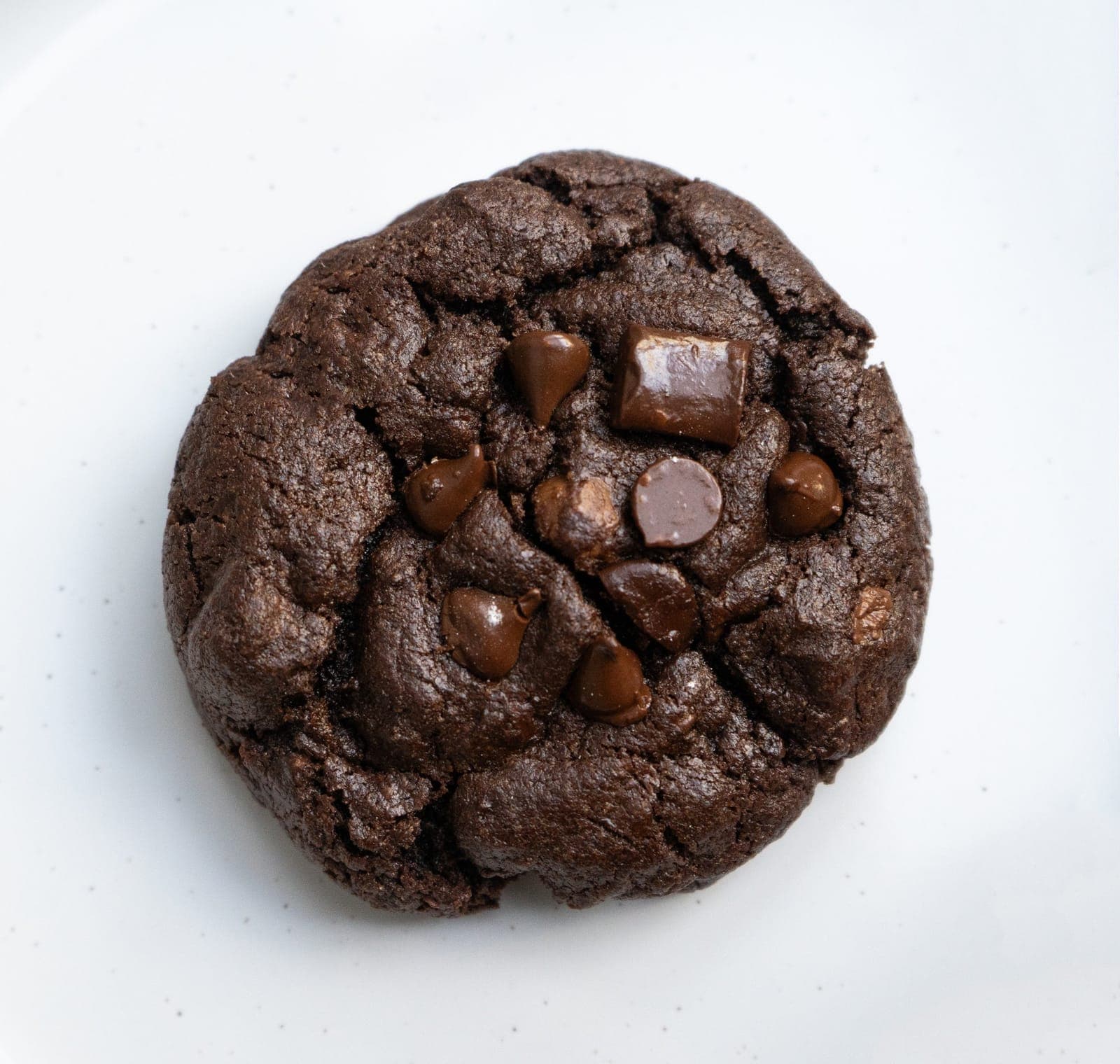 Brownie Cookie with chocolate chunks on a white plate