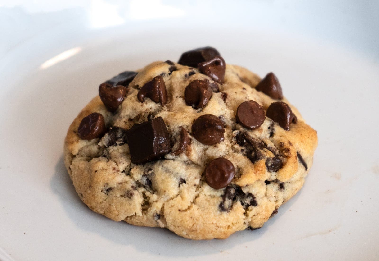 Large chocolate chip cookie with chocolate chunks on a white plate