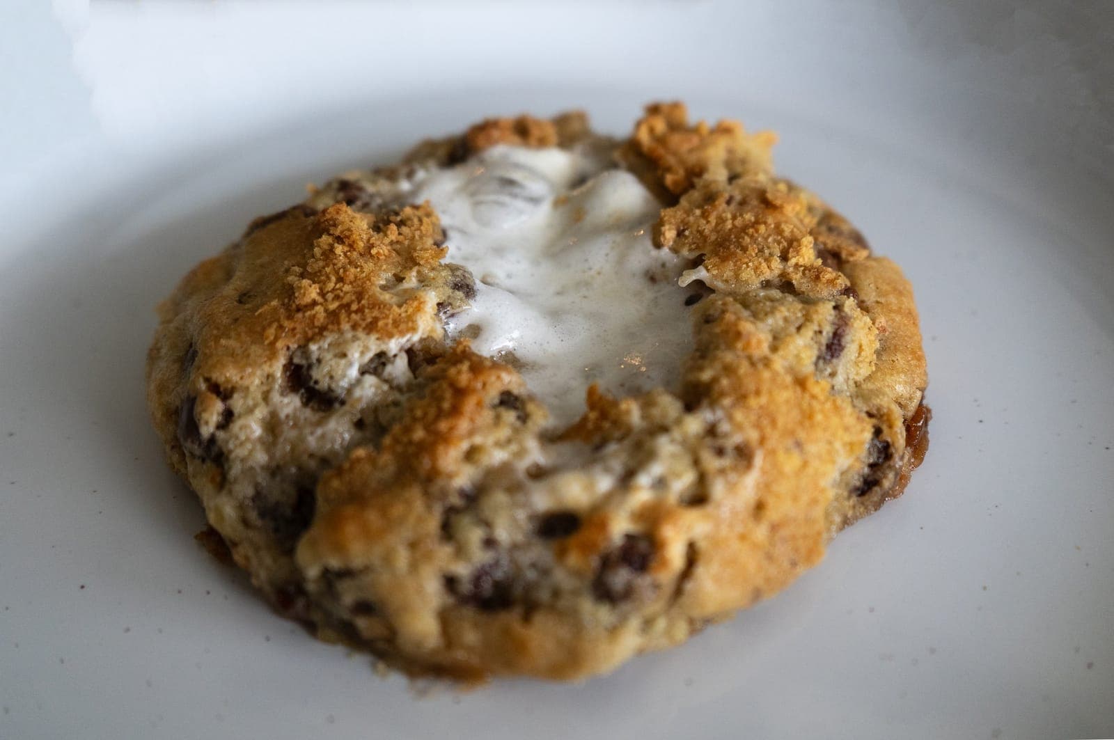 Large s'mores cookie with toasted marshmallow and graham